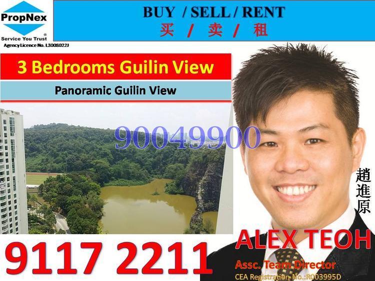 Guilin View (D23), Condominium #114564652